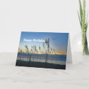 Search for sea oat cards Ocean