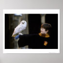 Search for harry potter sorcerers stone posters Back to school
