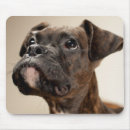 Search for boxer dog mousepads One animal