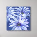 Search for daisy blue art Flower