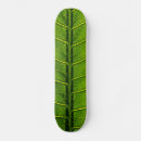 Search for leafs skateboards Nature
