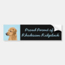 Search for noses bumper stickers Puppy