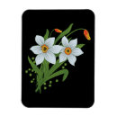 Search for flowered background magnets For her