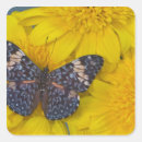 Search for butterflies flowers stickers Insect