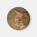 Search for tabby cat magnets Pets