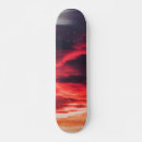 Search for feline skateboards Sunset