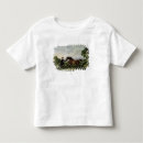Search for stallion tshirts Horse