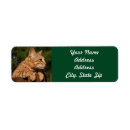 Search for domestic return address labels Animal