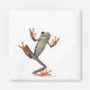 Search for belly square magnets Animals