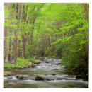 Search for great smoky mountains coasters Smokies