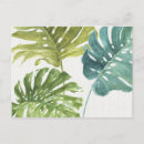 Search for frond postcards Watercolors