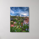 Search for variation canvas prints Photography