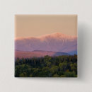 Search for mount washington badges Forest