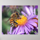 Search for bee painting posters Lavender
