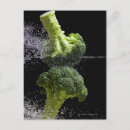 Search for vegetation postcards Colour image