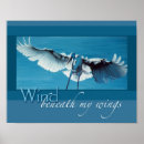 Search for x wing posters Wings