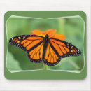 Search for monarch mousepads Bright
