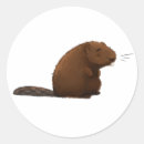 Search for beaver stickers Cute