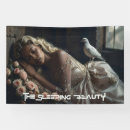 Search for the sleeping beauty For kids