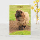 Search for funny sheep birthday cards Barnyard