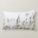 Search for grass photography Nature