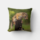 Search for red squirrel cushions Cute