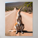 Search for kangaroo posters Outback
