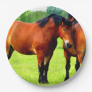 Search for horse plates Beautiful