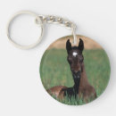Search for lying down key rings Bob langrish