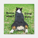 Search for butt magnets Humour