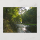 Search for savage postcards River