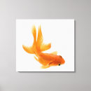 Search for fantail posters Swimming