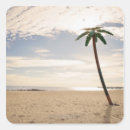 Search for coney stickers Amusement park