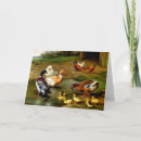 Search for duckling cards Animals