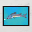 Search for fishing hook postcards Lure