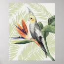Search for tropical decor posters Orange