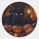 Search for cat lover stickers Pumpkin