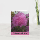 Search for single photo cards Photography