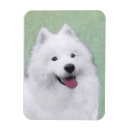 Search for samoyed magnets Puppy