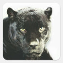 Search for black panthers stickers Mammal