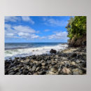 Search for tropical photography decor Vacation