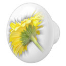 Search for daisy knobs and pulls Gerbera