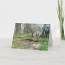 Search for moose cards Woods