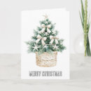 Search for starfish christmas cards Ocean