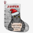 Search for naughty christmas stockings Cat