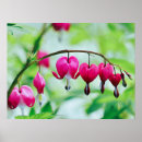 Search for bleeding posters Nature