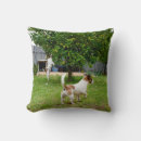 Search for jack russell terrier cushions Animal
