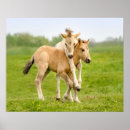 Search for funny horse posters Pony