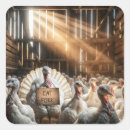 Search for funny turkey stickers Humour