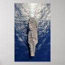 Search for truman posters Navy